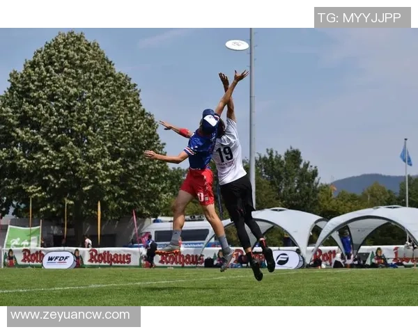 南京飞盘队状态分析与发展前景探讨聚焦飞盘运动的热潮与挑战